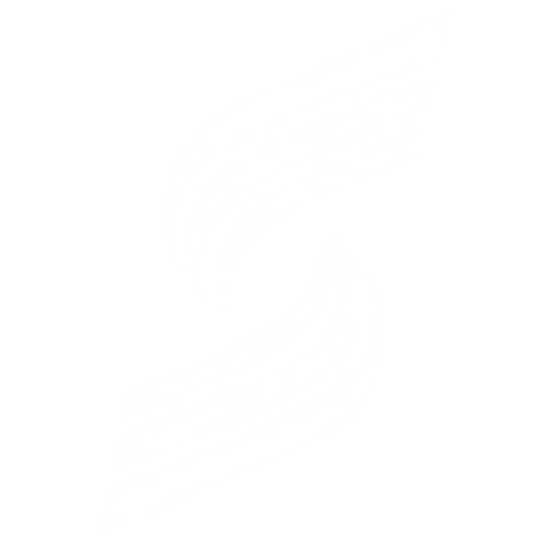 Pauline Suzanna official brandmark featuring a white stylized letter S graphic on a solid black background.